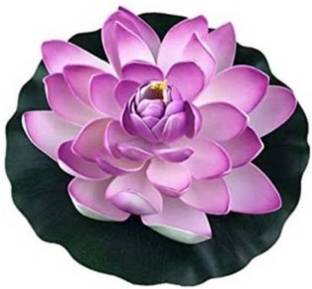 Green Plant indoor Lotus1517 Bonsai Wild Artificial Plant
