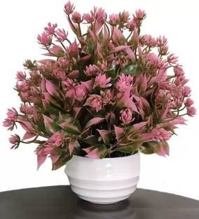 Flipkart SmartBuy Natural Looking Artificial Floral Plant for Home, Office And Garden Decor Bonsai Wild Artificial Plant  with Pot