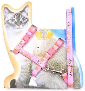 Hachiko Cats Need Nylon Cat Collar Harness with Leash Set Adjustable For All Cats Cat Harness & Leash