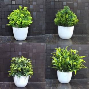 Siddhivinayak Artificial Plants for Home Decor Best Different Types of Plants (Multi Pack of 4 Bonsai Artificial Plant  with Pot