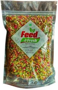 Feed Fresh Shahi Mewa Mukhwas Mint Flavor Mouth Freshener