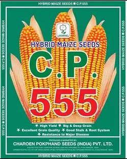 charoen pokphand Maize 555 Hybrid - CP Seeds, Makka (4 KG) Seed