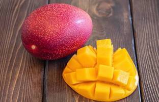 Krishna Miyazaki Dwarfs Mango Plant