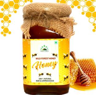 Hillpure Organic wild forest honey _ 500 g