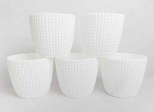 स्नशोपी (Pack of 5) प्लास्टिक वास