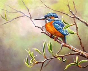 Self Adhesive UV Coated High Resolution Vinyl Print – Kingfisher Bird Poster Fine Art Print