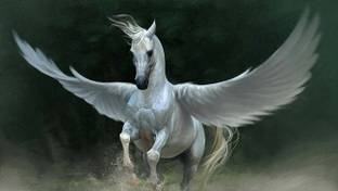 wild _ flying horse animal paper Poster (Paper, 12X18 Inch) Paper Print Paper Print Paper Print Paper Print