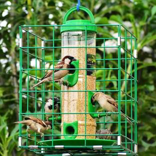 AMIJIVDAYA 6 Nozzle, Feeder with Metal Cage, Large Window Bird Feeder