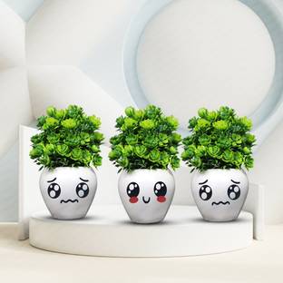 Neki 3 set Combo Beautiful Plants for Office Decoration Bonsai Wild Artificial Plant  with Pot