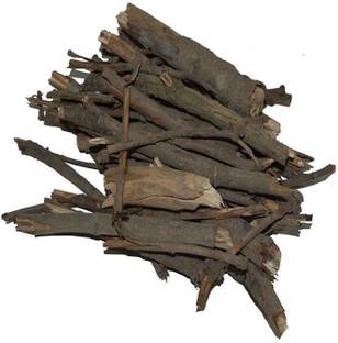 HERBALISM Shami ki Lakdi tree Banni Tree Vanni Tree Prosopis cineraria 7piece