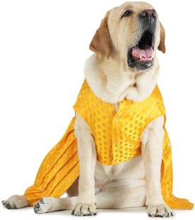 Barks & Wags Dress for Dog