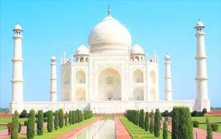 wild taj-mahal-paper poster (12X18 Inch rolled) paper print paper print Paper Print