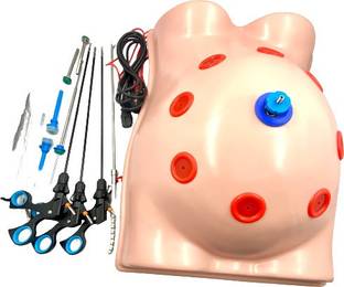 tsw Laparoscopic Endo Trainer with Instruments Sets Medical Equipment Combo