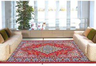 STATUS 6 ft  X 4 ft Polyester Carpet