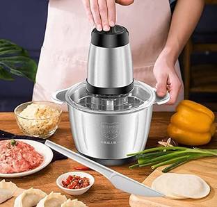 Divvy 220V 2 Speeds 304 Stainless Steel Electric Chopper Meat Grinder (250 watts) Electric Vegetable Chopper