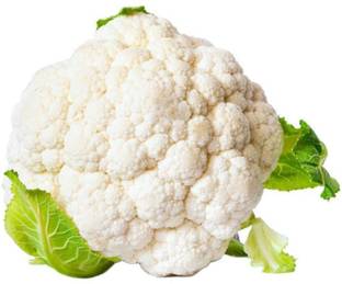 ANDOR Phool Gobhi Cauliflower फूल गोभी Seed