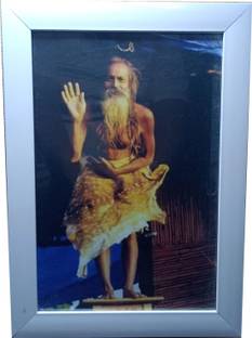 ALDOMIN Devraha Baba Religious Photo Framed (12.5 x 9 inch) Decorative Showpiece  -  2 cm