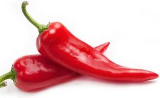 VibeX ® VLR-966 Corno Di Toro Red Pepper Chilli Seeds Seed