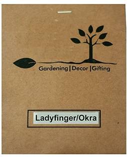 VibeX LX-98 - Organic Desi Okra Varsha - (450 Seeds) Seed