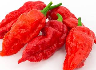 CYBEXIS GUA-32 - Ghost Pepper "Bhut Jolokia" Chilli - (150 Seeds) Seed