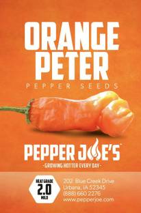 VibeX ® VXI-930 Orange Peter Pepper Chilli Seeds Seed