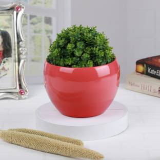 Advi Decorative Stylish Table Top Flower Pot Metal Planter Indoor, Pack of 1,Salmon Plant Container Set