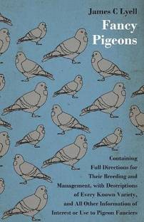 Fancy Pigeons
