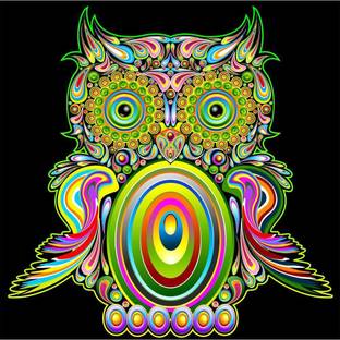 Pitaara Box Owl Psychedelic Pop Art Design Framed Wall Art Painting Print Canvas 24 inch x 24 inch Painting