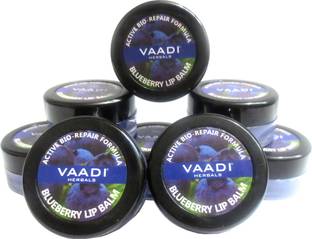 VAADI HERBALS Blueberry Lip Balm - Pack of 6 Fruity