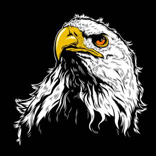 eCraftIndia Abstract Eagle Satin Matt Textured UV Art Canvas 11 inch x 11 inch Painting