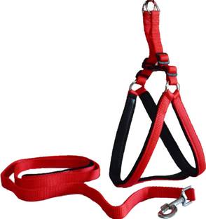 PAW ZONE Dog Harness & Leash