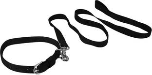 TommyChew Regular Dog Everyday Collar