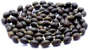 ShubhBhakti Kamal Beej - Kamal Gatta - Lotus seed Seed