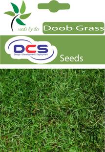 DCS Doob grass seeds Seed