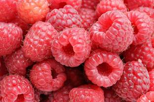 NATIONAL GARDENS Raspberry Fruit Seeds by National Gardens Seed