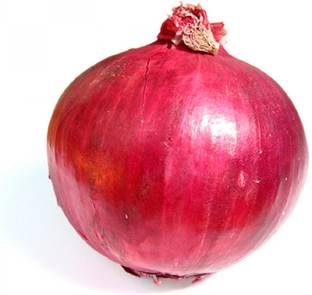 NurseryNature Red Onion, Onion Pyaj Seed
