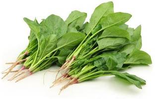 iGrow Spinach Seeds Seed