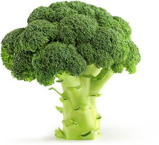 Seedlings india Broccoli Seed