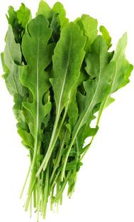 RAUNAK SEEDS Rocket Seed