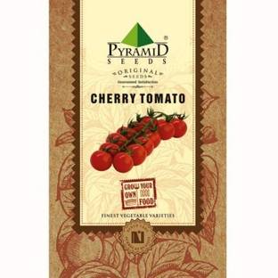 Pyramid Seeds Tomato Seed