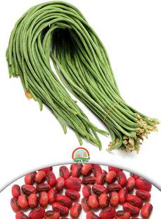 Agro Max Cowpea (Lobia) Vegetable Seeds Seed