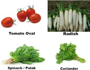 ईसी गार्डनिंग टोमेटो ओवल, मूली, स्पिनेच / पालक, धनिया बीज