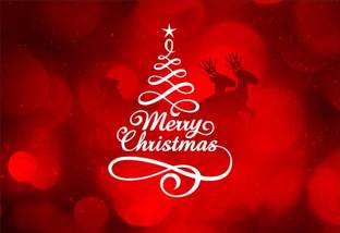 Merry Christmas Poster (Non Tearable Synthetic Material) Fine Art Print