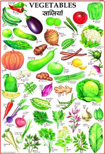 Vegetables Chart for Children Paper Print