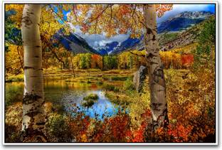 Beautiful Scenery marvelous Paper Print