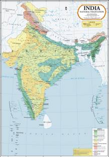 India Map : Natural Vegetation Paper Print
