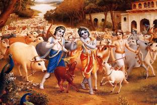 Lord Krishna and Friends Poster Paper Print
