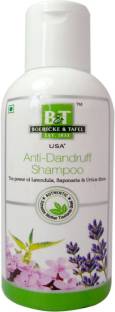 Boericke & Tafel Anti Dandruff Shampoo(Pack Of 2)
