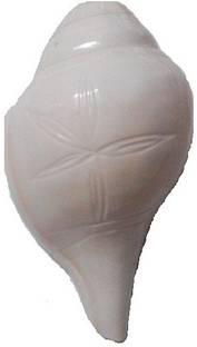 Pandit NM Shrimali Right Handed Sacred Shankh