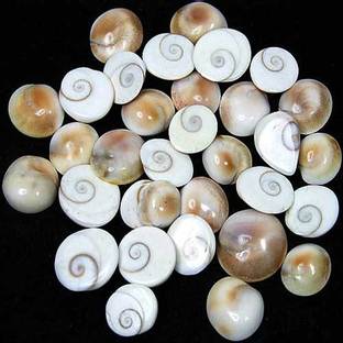 Sitare 11 Pcs Mix Size Spiritual Gomti Chakra 5 - 10 mm Decorative Showpiece  -  1 cm
